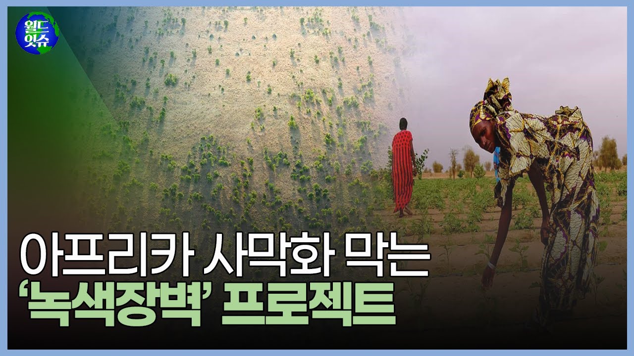 사막화 수치는 어떻게 되나요? - 게이머 코어
